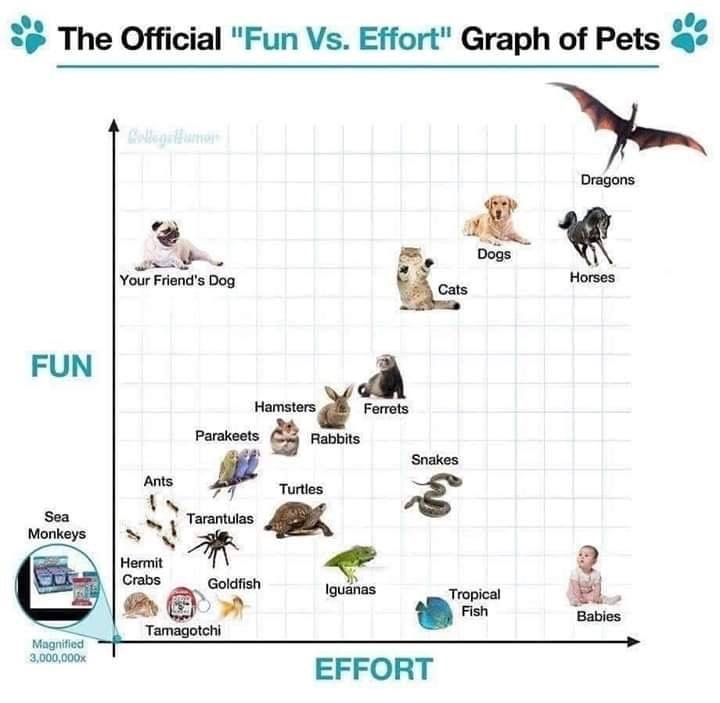 simongerman600's tweet photo. Another hilarious chart that was sent to me without comment or source. Definitely worth sharing 🤣 https://t.co/7F1Jzu7Xet