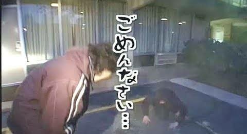張り子の虎 水曜どうでしょうもう忘れてやれよ大賞 ツイレポ 張り子の虎 水曜どうでしょうもう忘れてやれよ大賞 ツイレポ
