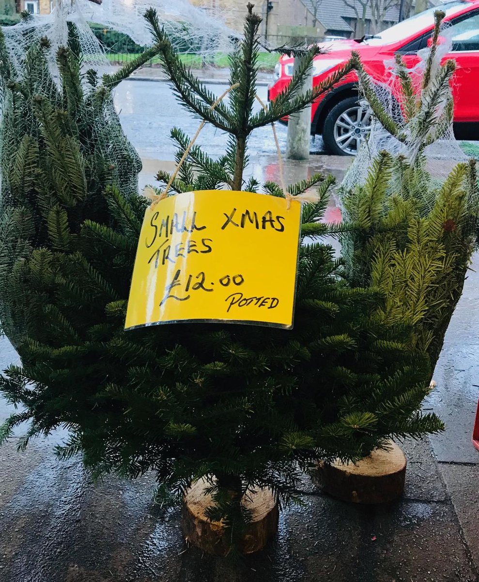 We also sell Smaller Christmas Trees
From Norway, Non drop Needles
£12.00

#DespinafoodsNewSouthgate #Christmastrees #Smallchristmastrees #Christmas #Nondropchristmastress