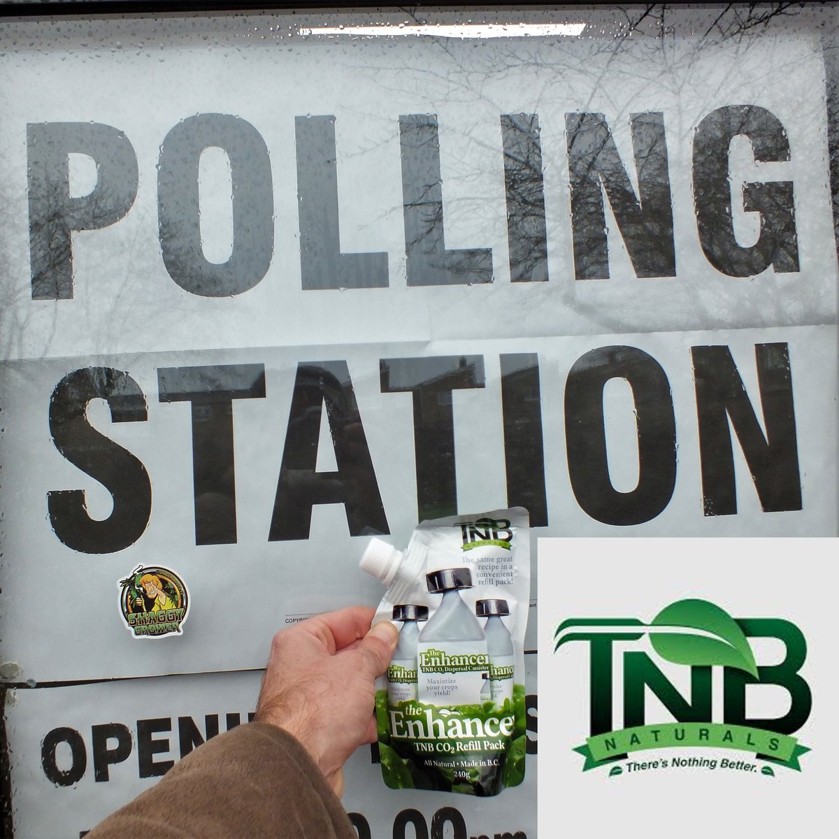 I won a vote of confidence yesterday. I was one of those selected for sponsorship by TNB Naturals. Happy days!! Don't forget to vote today UK residents in the #GeneralElection2019 
#TeamTNB #Enhancer #Refill 
#growyourown #gyo #cannabis 
#tnbnaturals #tnb #tnbnaturalsbrand