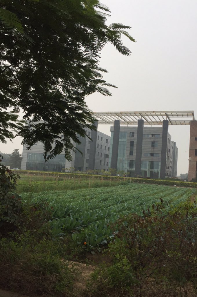 MMUHospBusMan tweet media