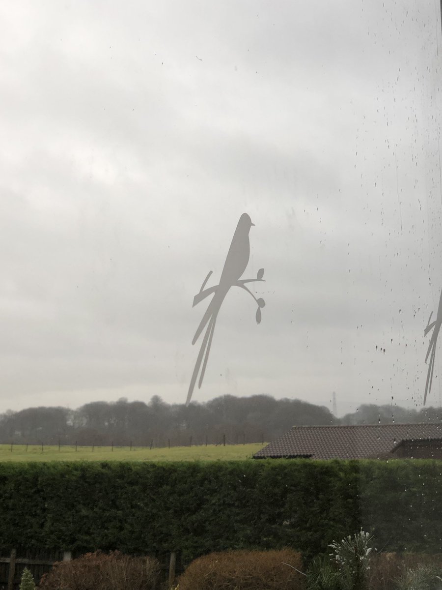 First time at the <a href="/TheBirdatBirtle/">THE BIRD AT BIRTLE</a> looking forward to lunch at <a href="/nutsfood/">ANDREW NUTTER</a> gastro pub!!