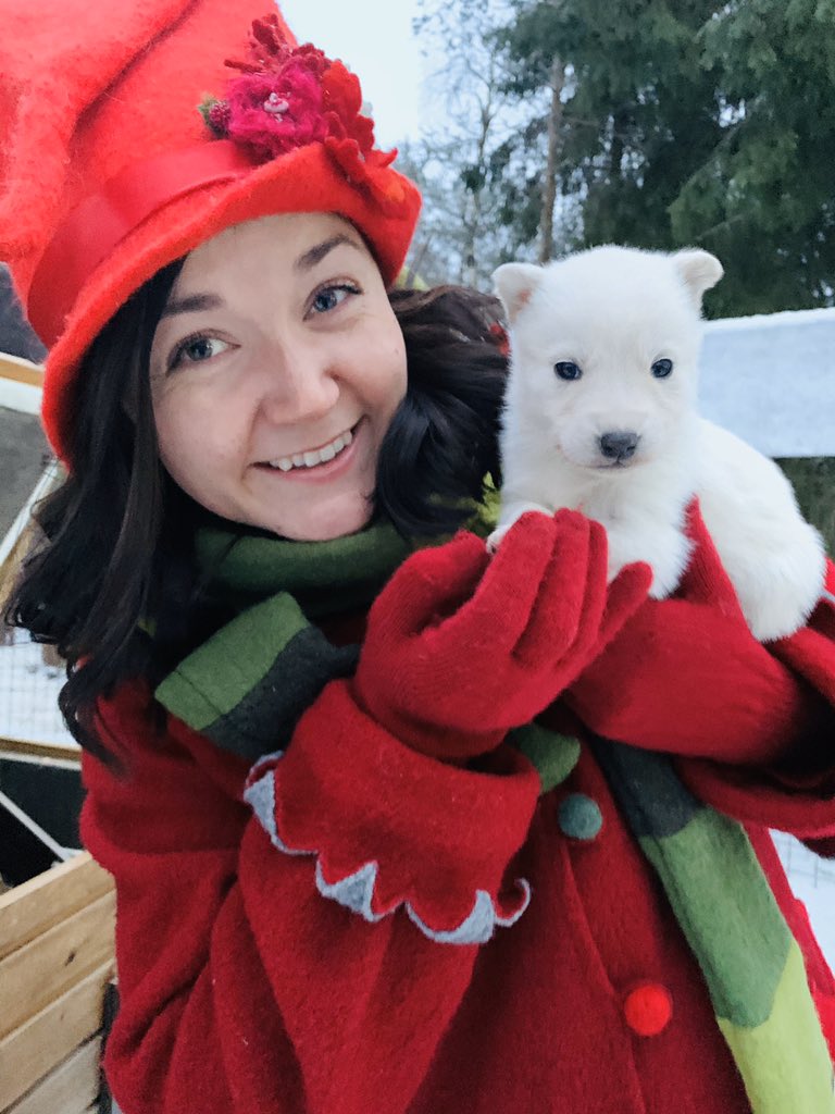 Cutest little husky puppy ever with Vanilla the Elf😍 #santaclausoffice