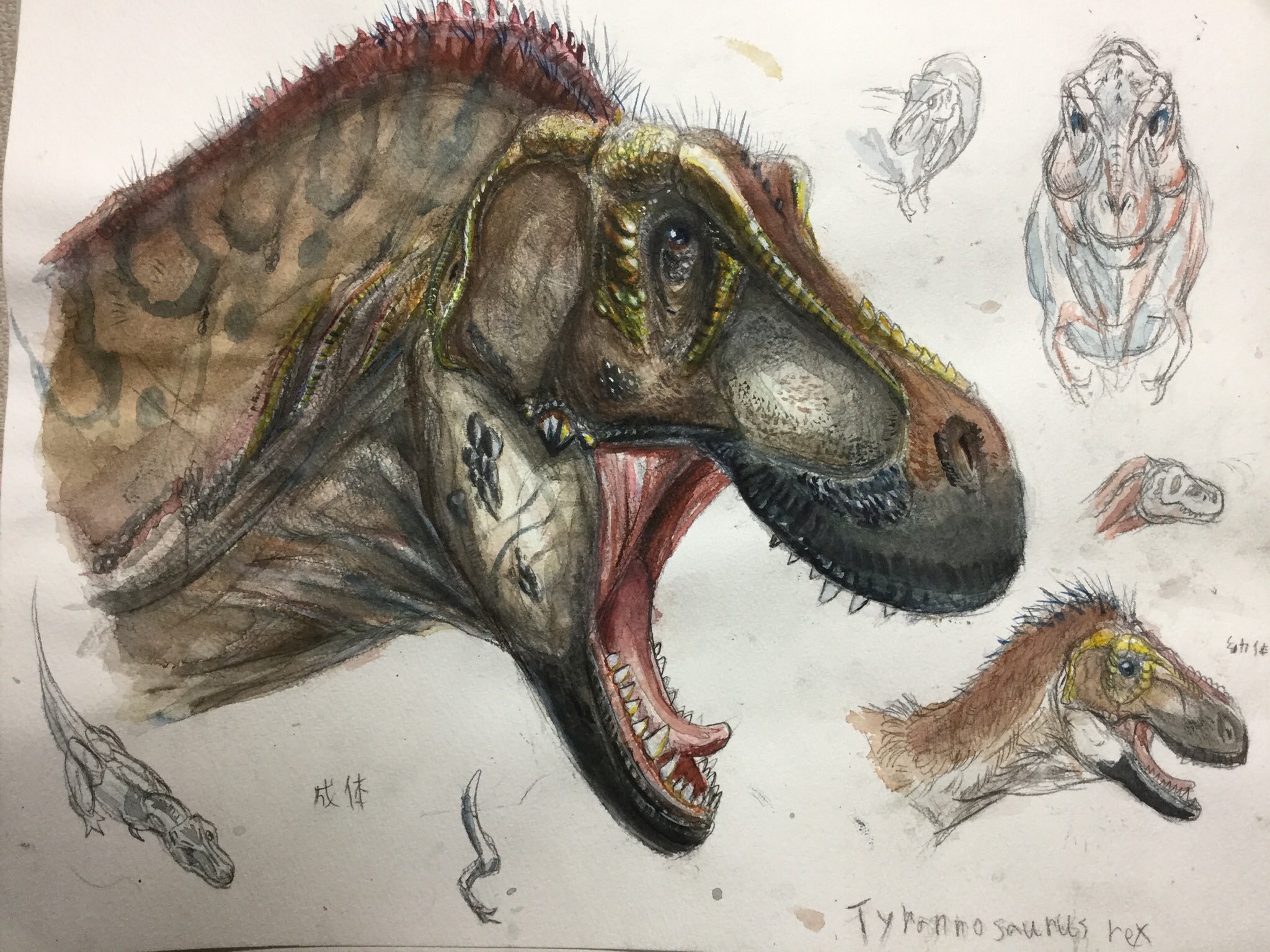 ティラノサウルスの水彩画 ティラノサウルスを描く】 Paint a Tyrannosaurs / Time lapse