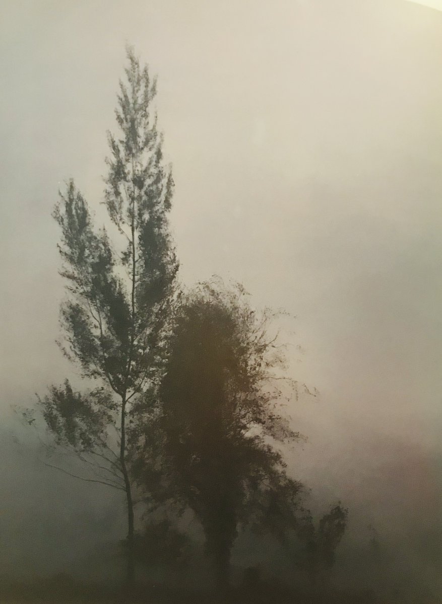 UCDPoetry's tweet photo. Today's #adventpoem is the marvellous "Xmas" by @gagebybell, taken from the new Poetry Ireland Review @poetryireland - lots of fine poems in the issue, from @EleanorHooker_ @maryodonnell03 @goshtastic @supriyadhaliwal @JamieJamston & striking artwork from #ailbhebarrett https://t.co/TgmZVqnLce
