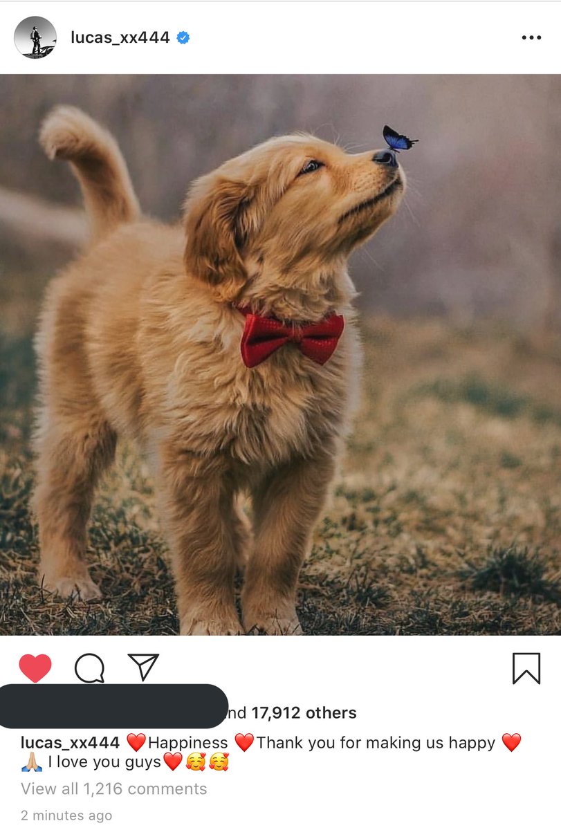 สำหรับเรานะ ลูคัสเป็นเด็กน้อยที่ตัวโตอะ ใจเธอมันน่ารักขนาดนี้อะลูคัส มันอดเอ็นดูไม่ได้เลยย มีความสุขก็เลยไปหารูปน้องเสือน้องหมามาบอกฟค. แกดูหัวใจน้องมันดิ โคตรน่าทะนุถนอมเลยเนอะㅠㅠㅠㅠㅠㅠㅠㅠ