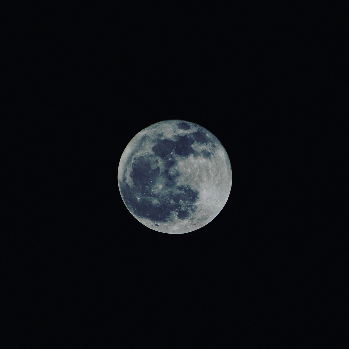 shotaro_cc_'s tweet photo. コールドムーン。
#2019年最後の満月
#D7500
#キリトリセカイ
#写真で伝えたいわたしの世界
#ファインダー越しのわたしの世界 https://t.co/BwtjtaCMBY