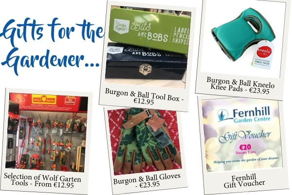 Gifts for The Gardener...
<a href="/burgonandball/">Burgon & Ball</a> Tool Box €12.95 
Kneelo Knee Pads €23.95
Wolf Garden Tools from €12.95
Burgon &amp; Ball Gloves €23.95
Range of Gift Vouchers
More great gift ideas in store too!

#FernhillAthlone #Fernhill #Athlone #Christmas #Gifts #Presents #Gardener