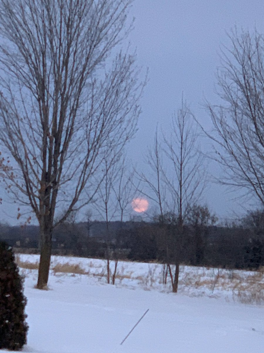 laurabeth618's tweet photo. Super cold moon. It was gorgeous! #supercoldmoon https://t.co/z9i8bj417V