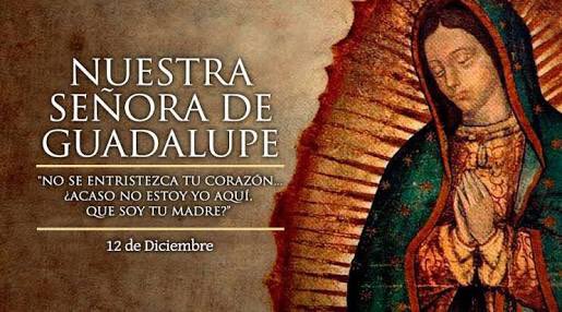 MarcelaHerreraR's tweet photo. Hoy es el día de la reina de México. Mi Guadalupana querida , mí Virgen Morena quien nunca me ha dejado de cubrir con su manto. #Guadalupana https://t.co/QNmSCOVmAg