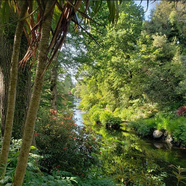HozierHaiku's tweet image. Now finally the last night has closed.
Our trav’ling Bard no longer roves.
Safe at home he shall be
In the care of his tree
This sprite misses his forests and groves.

🌳🧚‍♂️☘️🥰

#hozier
#treesprite
#forestking
#dontleaveusgoodsir
#atleastcomebackfromtheforestwithslappingnewbops