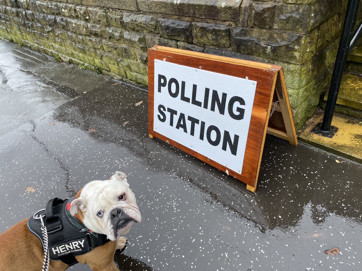 #dogsatpollingstations #GeneralElection2019 #Bulldogs #henry Every Vote counts #votedontmope