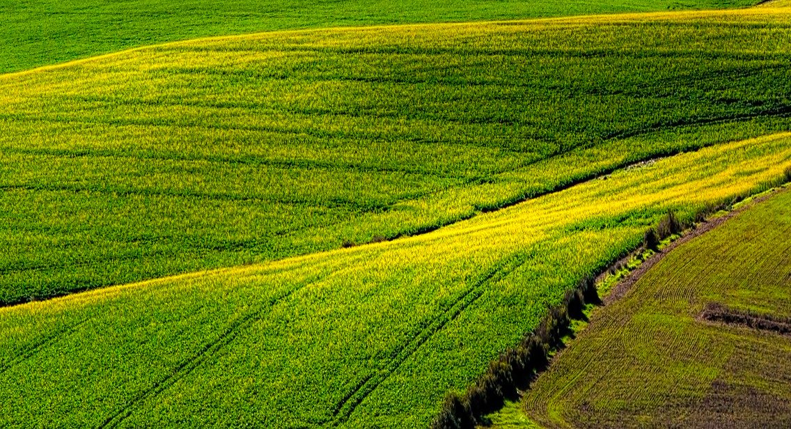 PAT_SA_54's tweet photo. Un financement exceptionnel validé par le Cabinet du Premier Ministre pour notre projet HerbiScan qui vise à découvrir et développer de nouveaux herbicides d’origine végétale 🔎🌿
https://t.co/e1mSwy1apW https://t.co/wxg9qEwFiX
