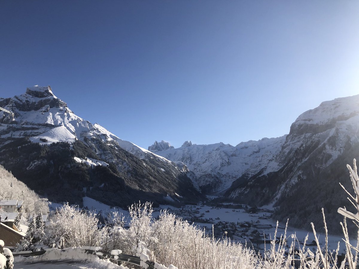 Michelle Gisin tweet media