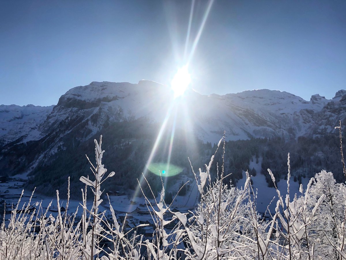 Michelle Gisin tweet media