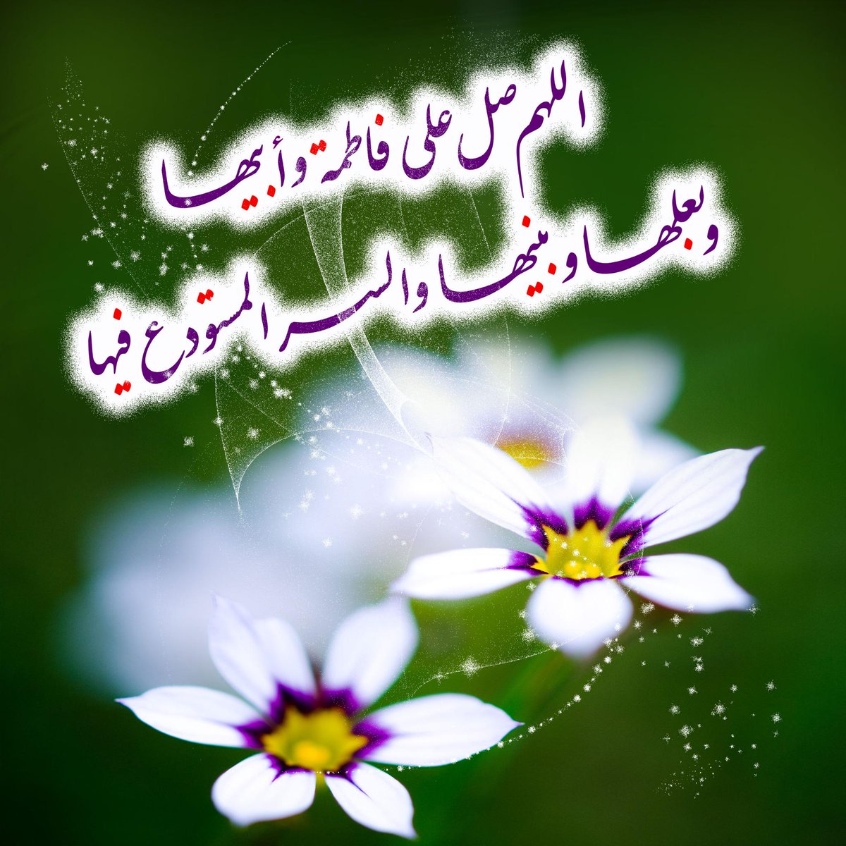 الحسني tweet media