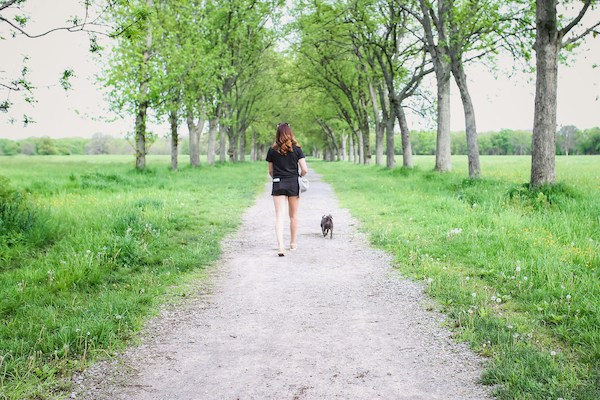 Walk Your Dog, Every Damn Day royaltails.ca/walk-your-dog-…