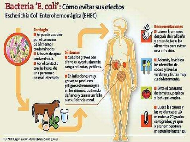 Alimentos que producen diarrea inmediata