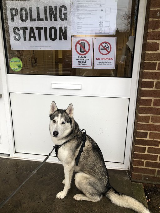 We voted!!! 🌹 #dogsatpollingstations #VoteTheToriesOut https://t.co/jPq5qhLNRh<a href="/tag/dogsatpollingstations"class="tags">#dogsatpollingstations</a><a href="/tag/votethetoriesout"class="tags">#VoteTheToriesOut</a>