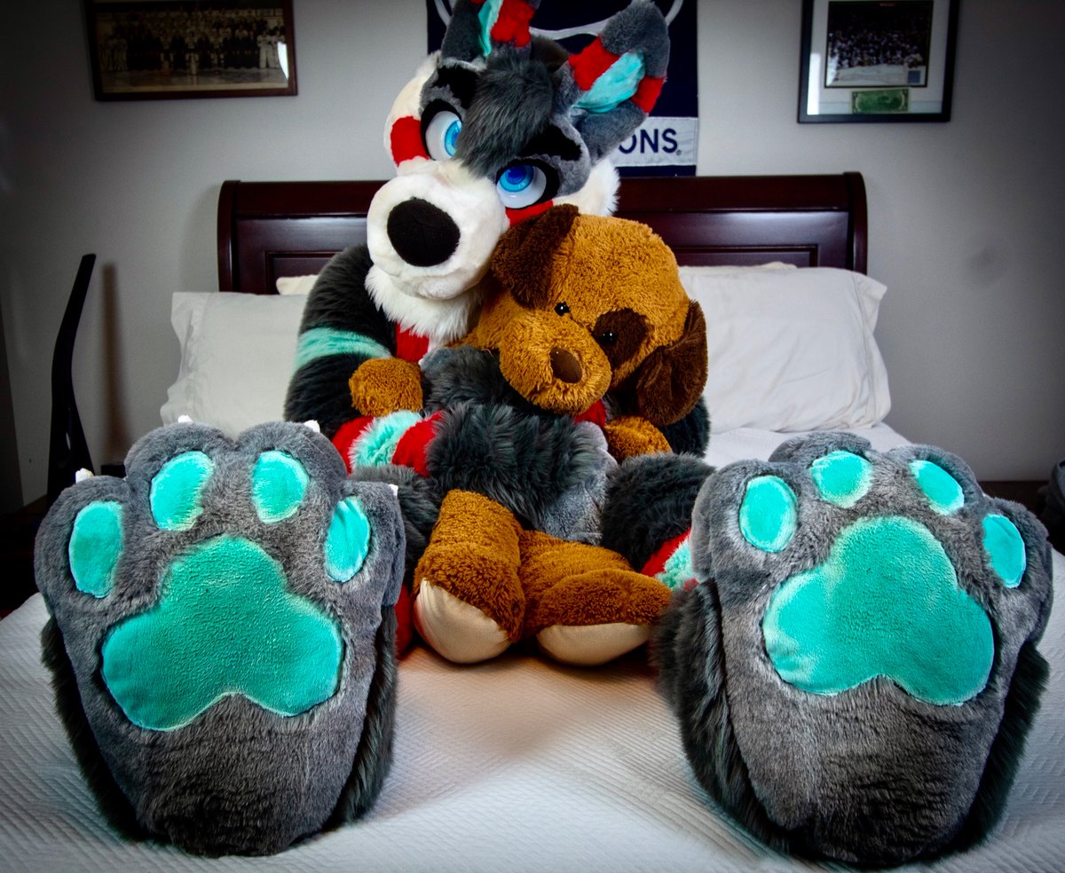 paws for trello encryption paws for trello encryption