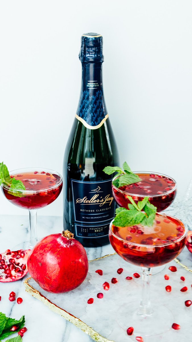 Steller's Jay Brut tweet media