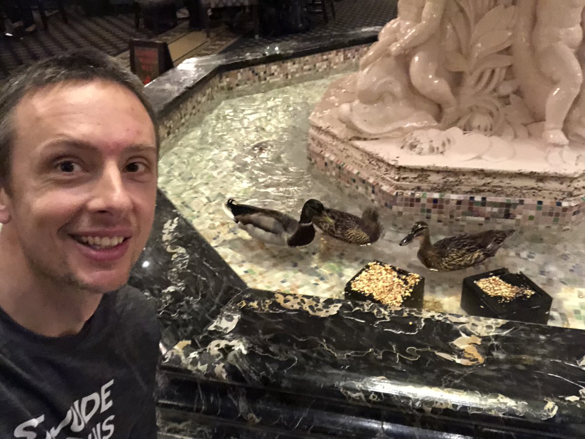 So long Ducks! Thank you for an awesome #SoACE19 Conference. You guys have a great place! I’ll be back! <a href="/PeabodyMemphis/">The Peabody Memphis</a> @SouthernACE