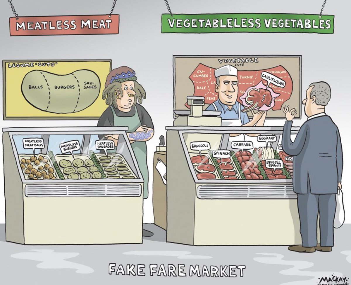 You find the nomenclature around alternative proteins confusing? Plant based burgers, fake meat, faux meat, vegan burgers... even cartoonists are now addressing the topic.