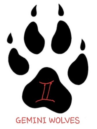 GEMINI WOLVES tweet media