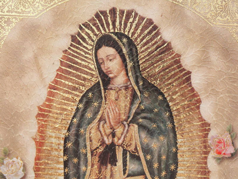USHISPANICMIN's tweet photo. En su día de fiesta, rézale a Nuestra Señora de Guadalupe para que nos ayude a que nunca veamos a los demás como una carga, especialmente, a los migrantes que llegan a nuestro país y comunidades. #pastoralhispana #catolico #VirgendeGuadalupe https://t.co/E1YnXyF9W0
