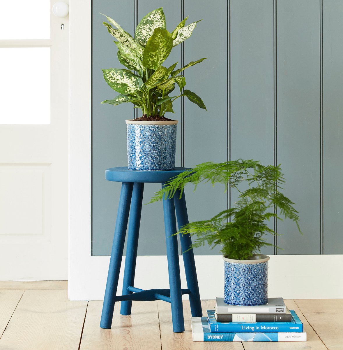 burgonandball's tweet photo. Running out of gift inspiration? A beautiful houseplant in a stylish post is always well-received - and right on trend, too. Find our indoor pots in good #grden centres, gift shops & https://t.co/2s0DCixPzY. #indoorgardening #christmasgiftideas https://t.co/80AQPQnXZ3