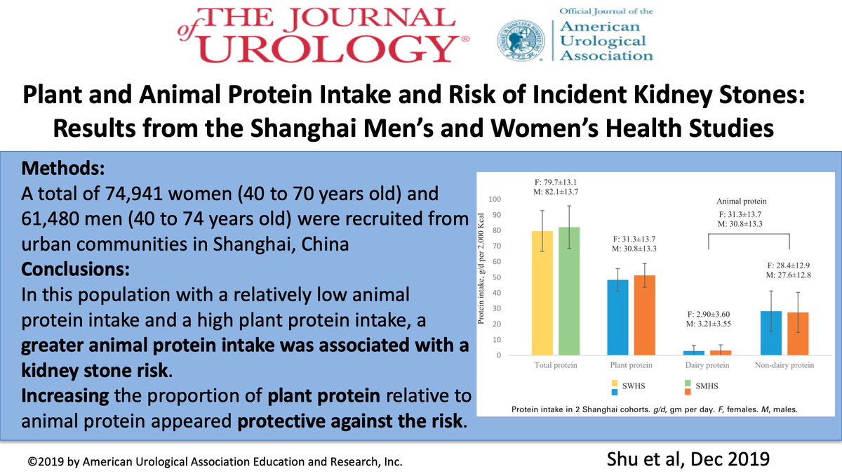 Plant and Animal Protein Intake and Risk of Incident Kidney Stones <a href="/StoneCrushed/">Ryan Hsi</a> #takehomemessages ow.ly/pgrn50xwD43

(Please note: this tweet was accidentally sent out last week with the incorrect image. I apologize and thank all who alerted us to the error!)