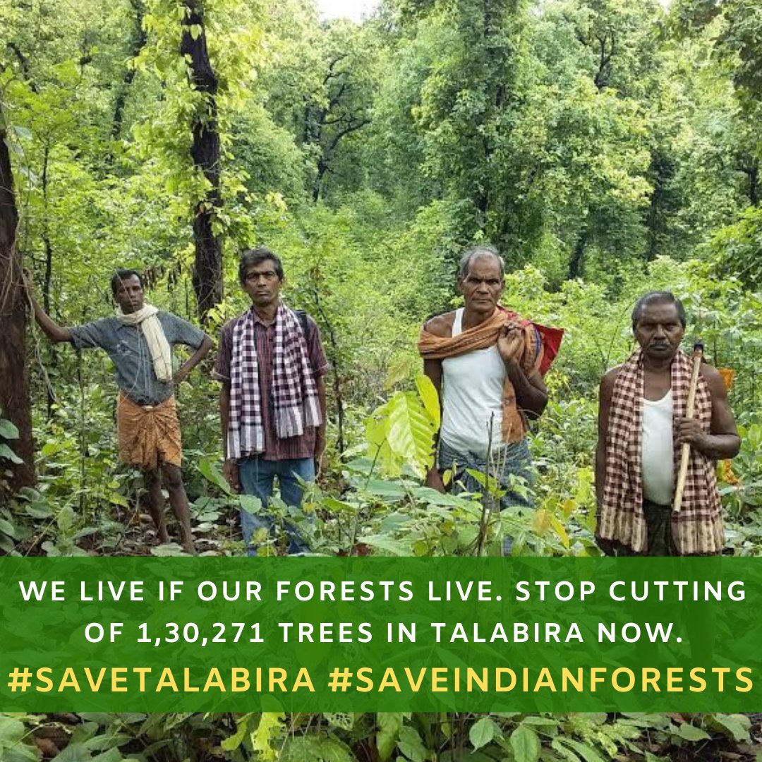 yashmarwah's tweet image. #SaveTalabira #SaveIndianForests