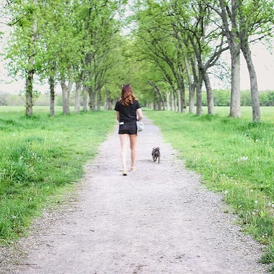 Explore 🎒Move 🚶‍♂️Breathe 🌬 Connect 🙏 Every Damn Day... As a dog walker and mom, I’ve witnessed and learned that the healthiest and happiest dogs are those that are walked or exercise daily. It’s no secret and is your dogs best chance at sharing a lo… ift.tt/2EbJ04A