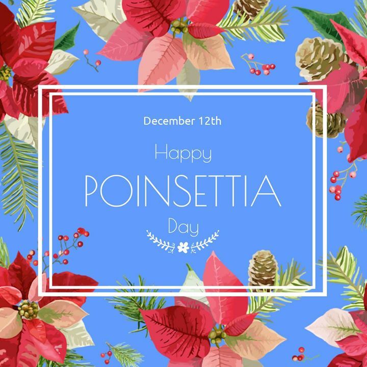 Happy #PoinsettiaDay! Keep these blossoms looking bright! ift.tt/2fJJ6Dm