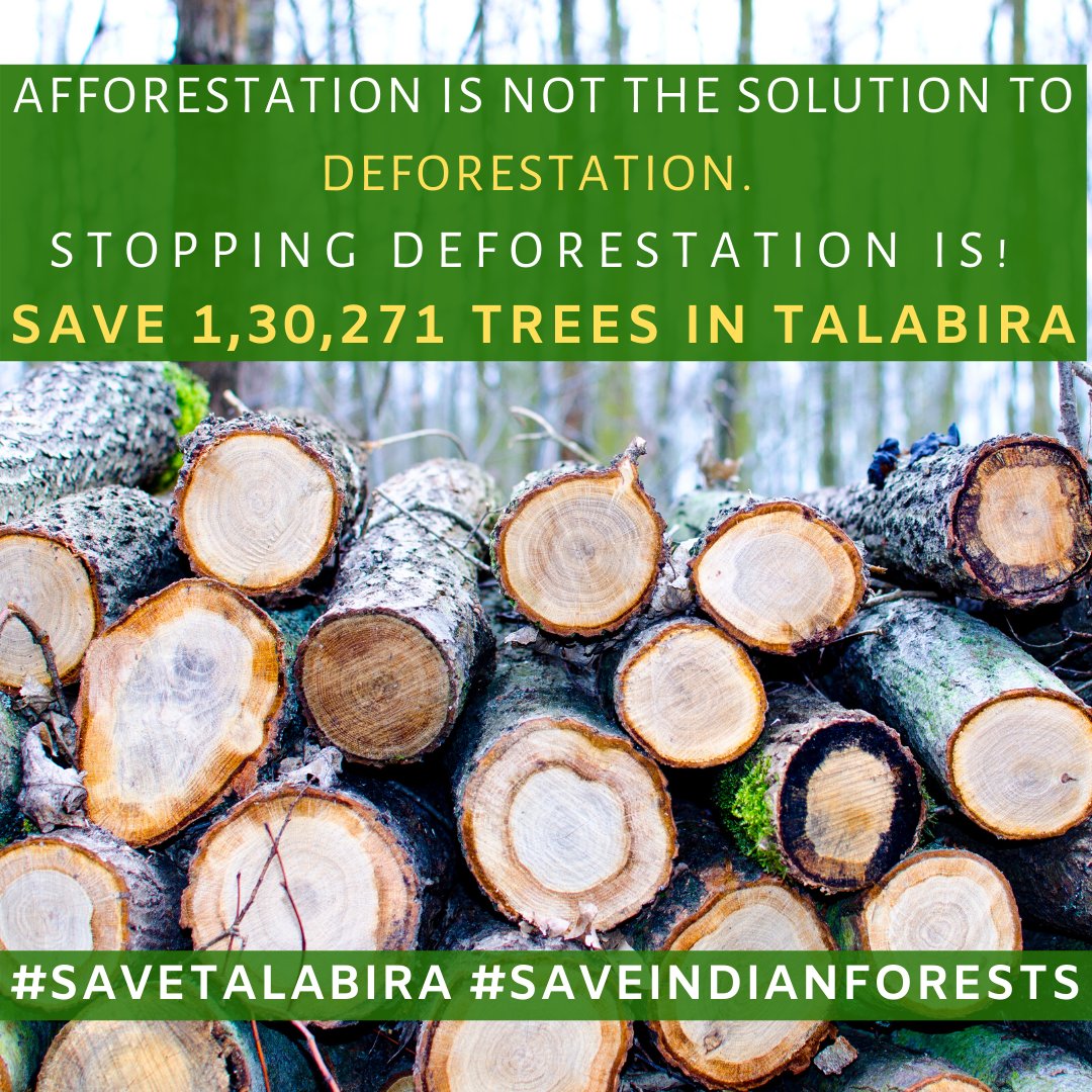 yashmarwah's tweet image. #SaveTalabira #SaveIndianForests