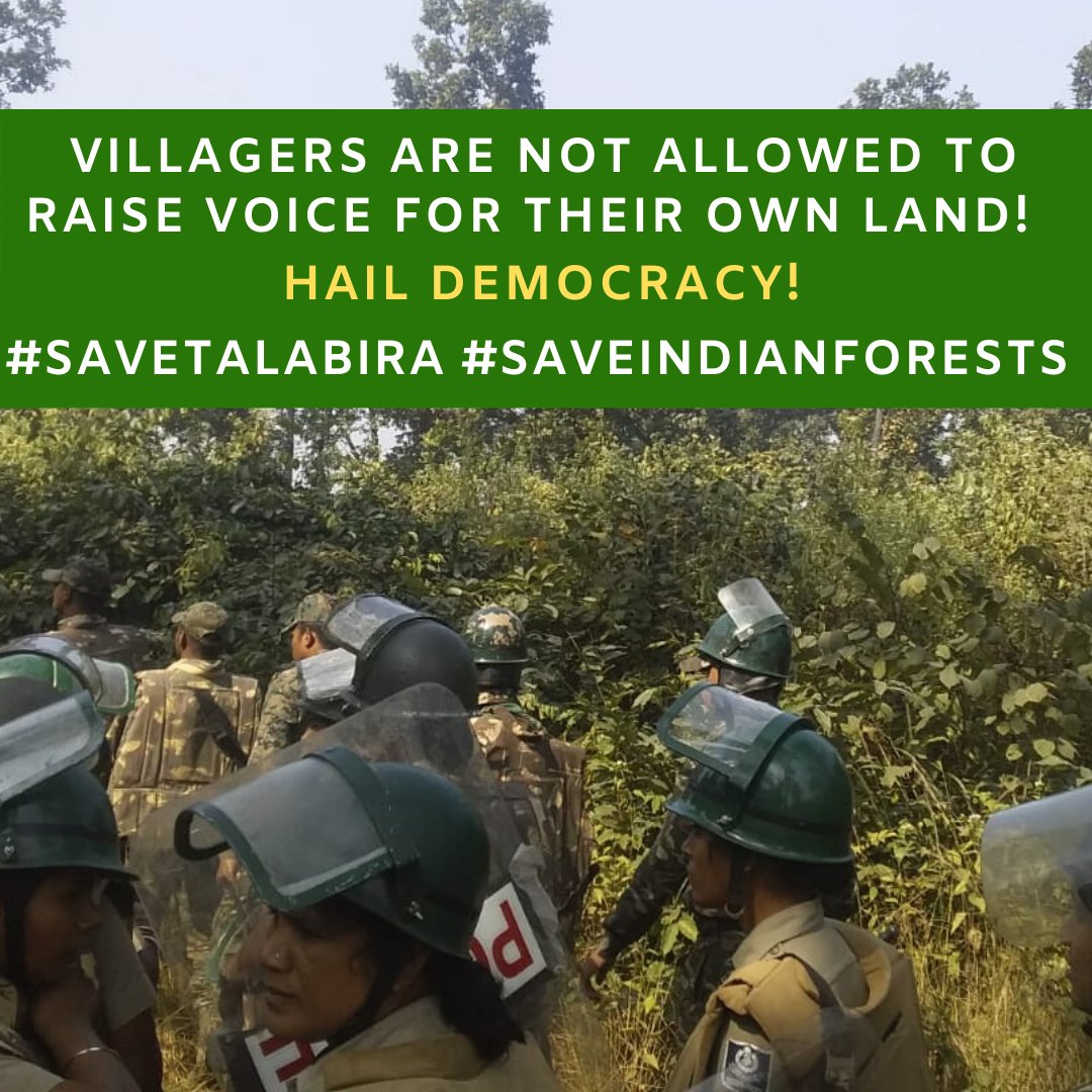 yashmarwah's tweet image. #SaveTalabira #SaveIndianForests