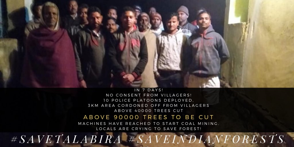 yashmarwah's tweet image. #SaveTalabira #SaveIndianForests