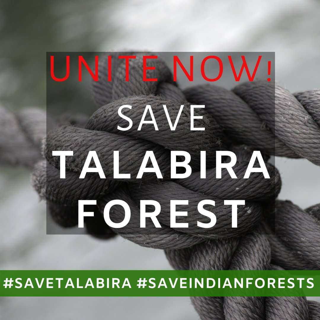 yashmarwah's tweet image. #SaveTalabira #SaveIndianForests