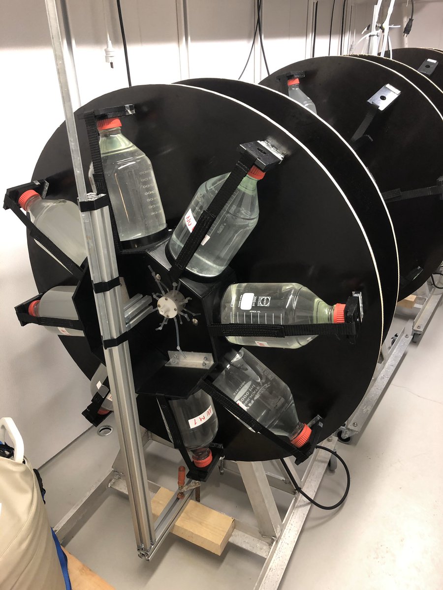 BjrnHenrikHans1's tweet photo. Today we started exposure experiment with mine tailings on #copepod #Calanus finmarchicus stage CV @SINTEF_Ocean on the @di_tail project. We are assessing modes of #toxicity from metals, chemicals and particles singly and in combination. https://t.co/wjIwIhg6hB