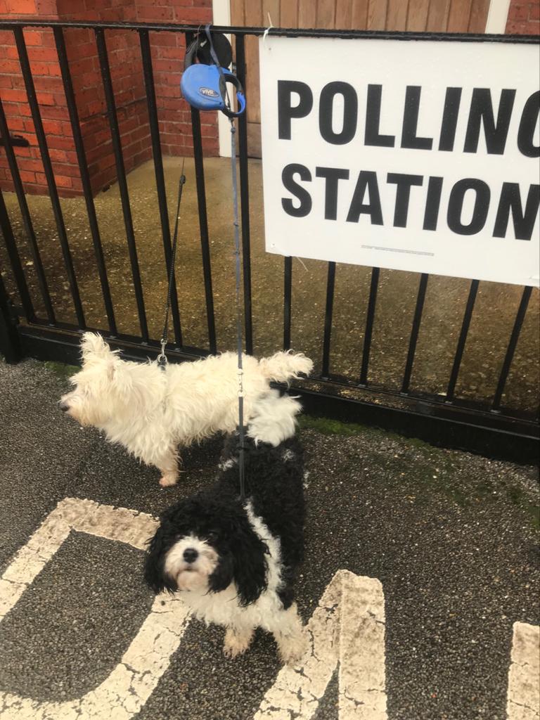 Sophie &amp; Mollie. They did not want to vote, they didn’t want to be there. Boris and Corbyn are doing nothing to improve the lives of dogs in the uk #dogsatpollingstations