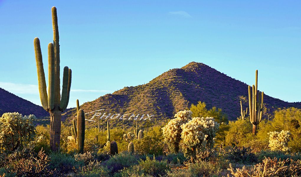 KarpanParkland's tweet photo. A great place to get in touch with nature near Phoenix is Usery Mountain Regional Park in Mesa #Arizona #VisitMesa #MesaCityLimitless #VisitPhoenix #MyPHX @VisitPhoenix #TMACTravels #landscapephotography #naturephotography https://t.co/karYQC0Uow