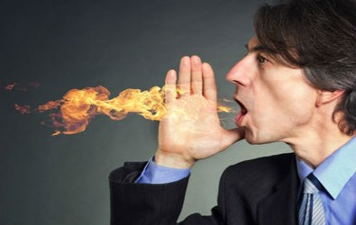 TravelWedge tweet media