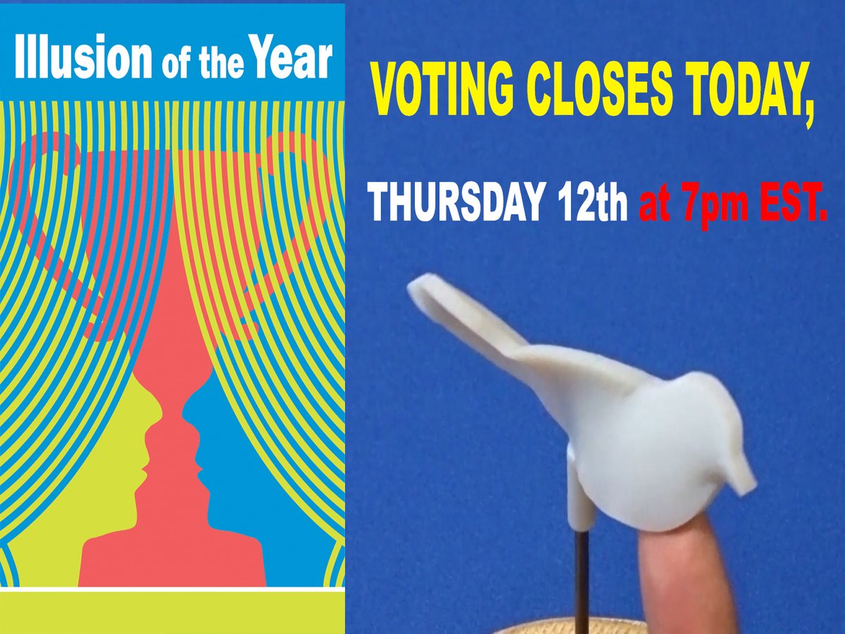 Illusion Contest tweet media