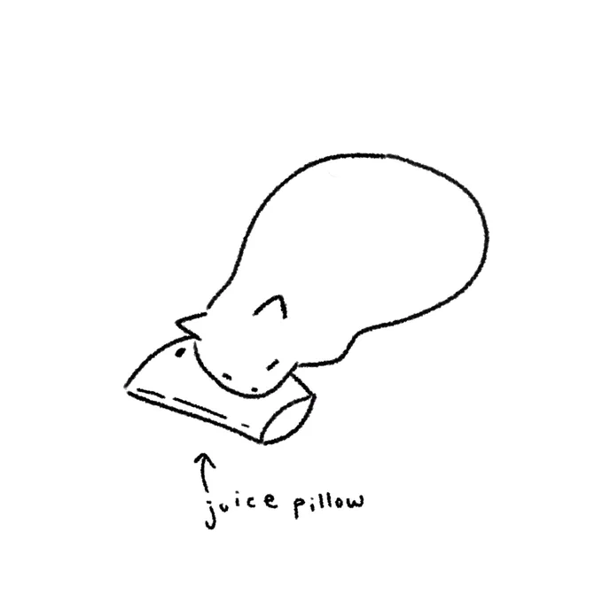 Kiki was using a juice pouch as a pillow but she moved before I could take a picture. I tried my best to recreate it 