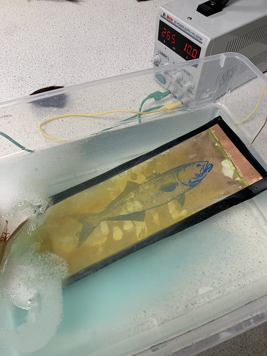 MrsAReads1's tweet photo. Get to know Ss and curriculum by going to class! Here is my Chem project, in progress- etching copper through electrolysis! https://t.co/f2sIbROPSe