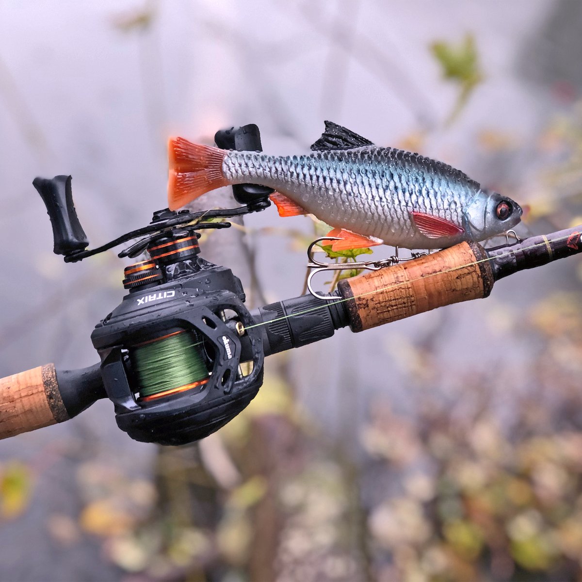 SavageGearPL's tweet photo. Elegancko i niezawodnie - #multiplikator #niskoprofilowy #Okuma #Citrix 🐟🎣🤘
#OkumaPolska #OkumaFishing #5latGwarancji #InspiredFishing #InspirowanaDesignem #DominateWithPower #CitrixA #DominujSiłą #QuickSet #CastingDNA https://t.co/wp1PoBYoUx