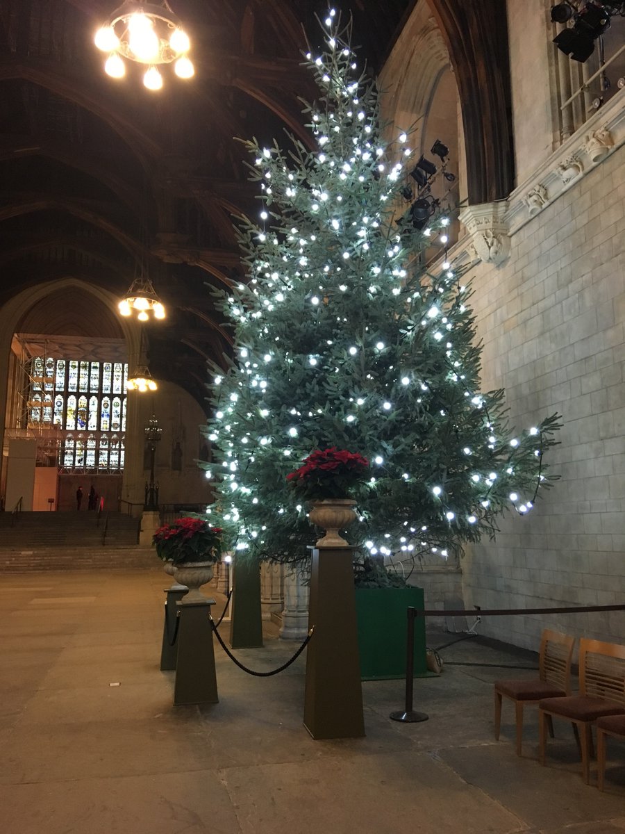 angmeringschool's tweet photo. Angmering Sixth Form students have been practicing their debating skills in the Houses of Parliament this afternoon. https://t.co/LJy1DI8ceP