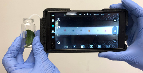 Root AI (@rootrobots) on Twitter photo Late blight is a #plant pathogen that causes $6.7B in crop loss per year. Researchers at <a href="/NCState/">NC State University</a> have announced a quick & easy way to use a plants odor to detect the disease with the help of a #smartphone, paper, and simple chemical sensors.
nyti.ms/2RwfQ82 Late blight is a #plant pathogen that causes $6.7B in crop loss per year. Researchers at <a href="/NCState/">NC State University</a> have announced a quick & easy way to use a plants odor to detect the disease with the help of a #smartphone, paper, and simple chemical sensors.
nyti.ms/2RwfQ82
