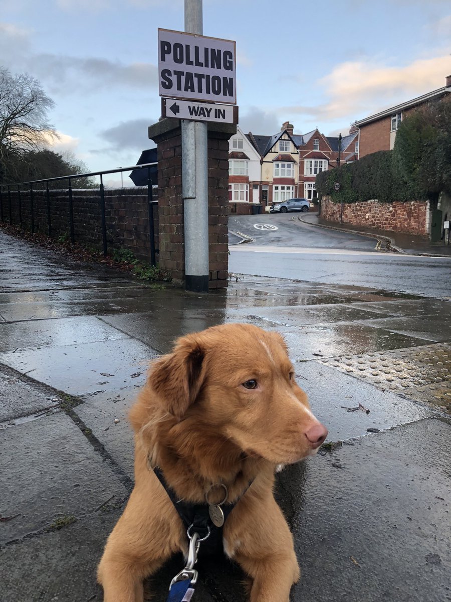 stephenjmoul's tweet photo. Red dog, red vote. #GeneralElection2019 #dogsatpollingstations #VotingLabour #VoteTheToriesOut https://t.co/8WCCfiI1YY