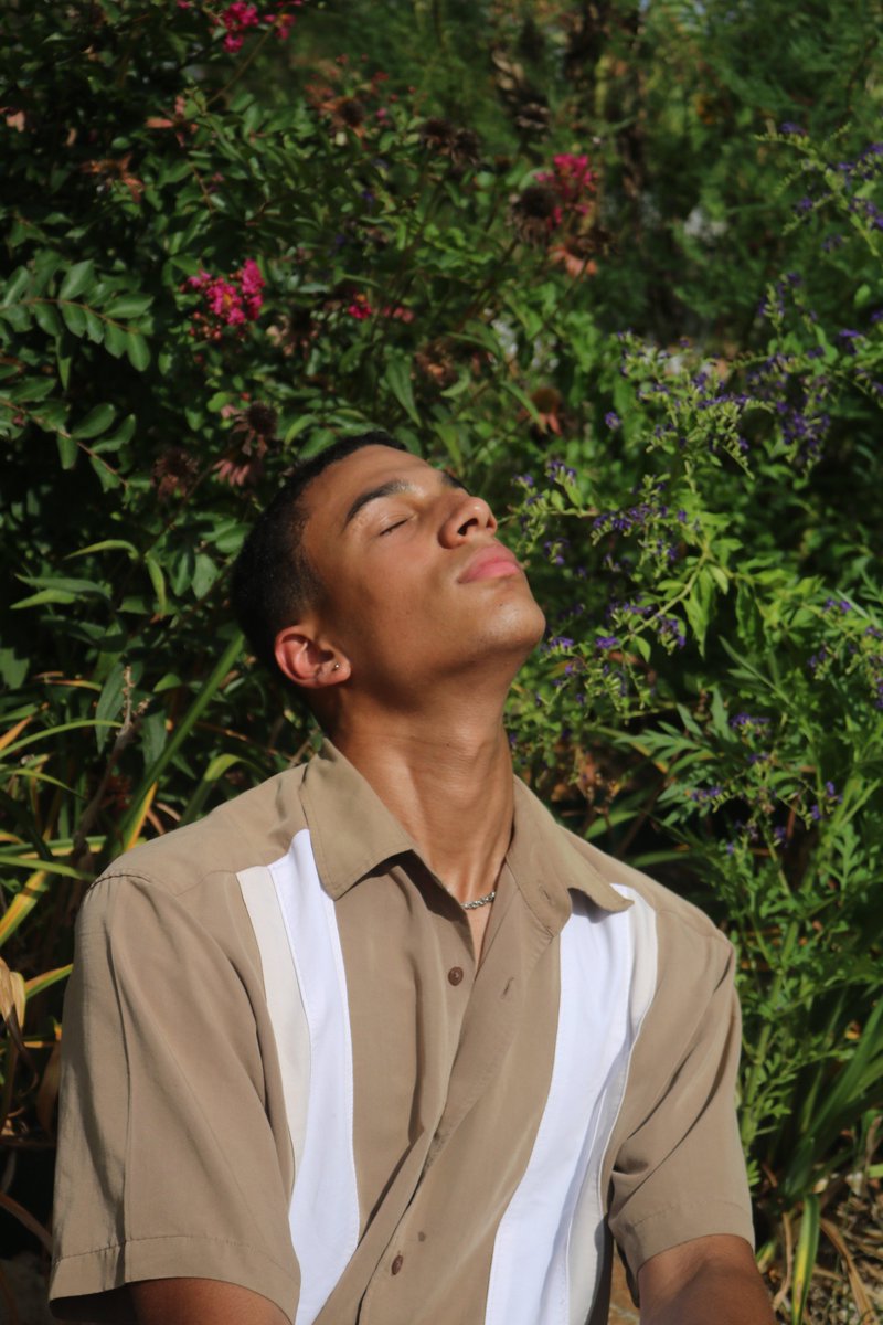 brancollective's tweet photo. photosynthesis shot by @aaliyahlavonne #dallasmodel #brandonscollective #creativedirector #arosethatgrewfromconcrete https://t.co/4Lxr0OGZrS